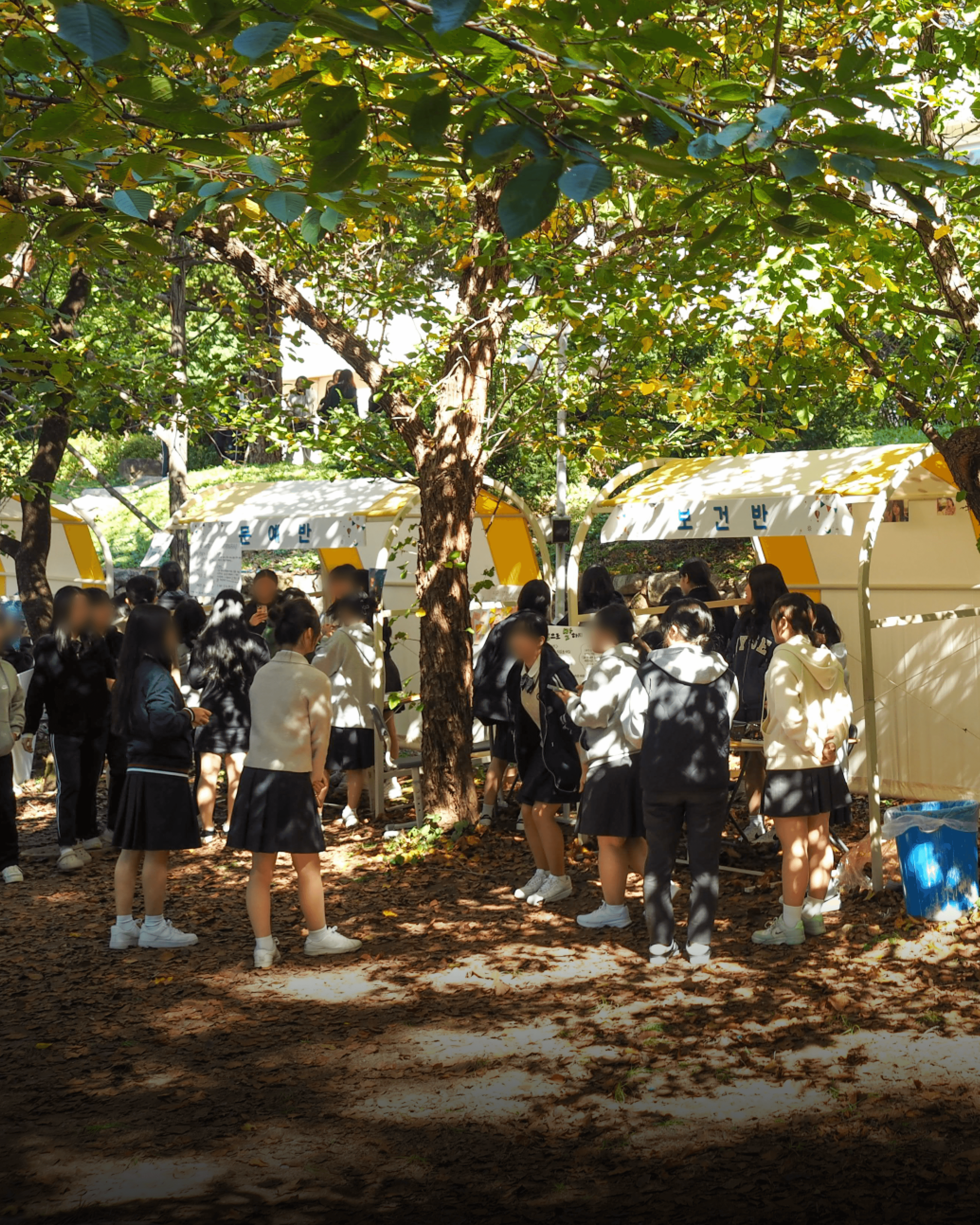 봄철 야외 행사 필수품 Basic Roof